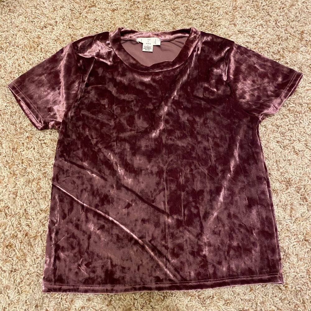 Ivy + Main Maroon Velvet Top